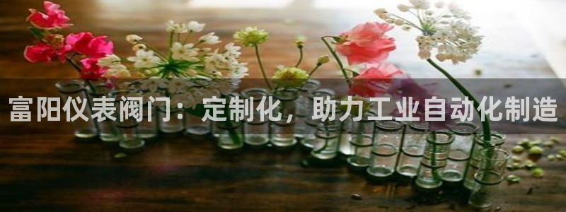 顺盈娱乐在线开户官网