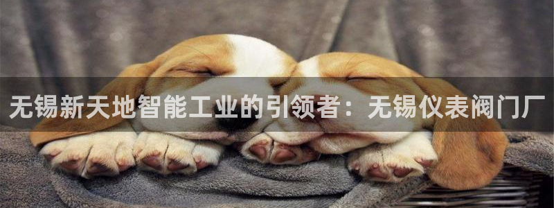 清远顺盈娱乐文案