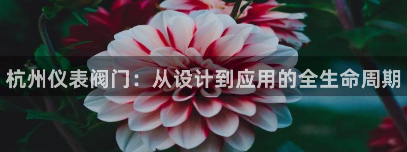 顺盈平台娱乐怎么样