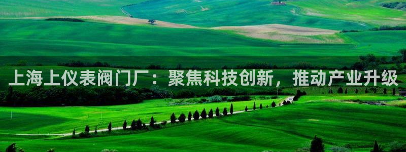 顺盈娱乐主管杂判官333OO