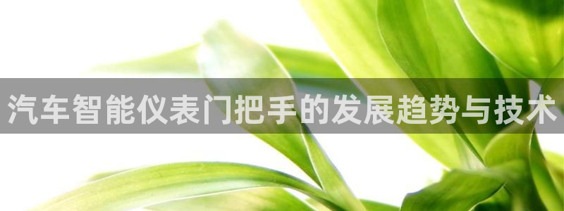 顺盈娱乐主管吉判官333OO
