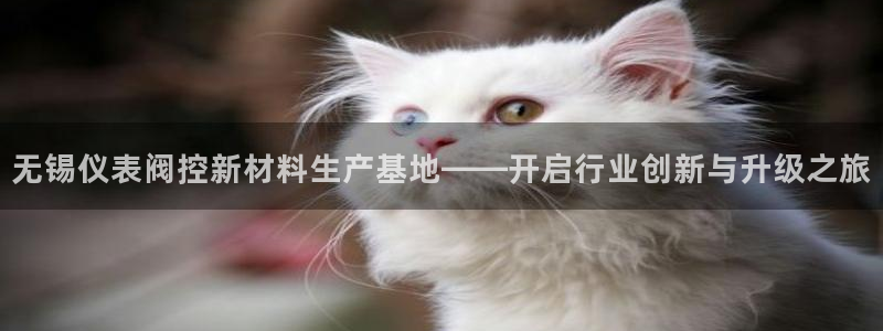 顺盈娱乐注册楚判官333OO