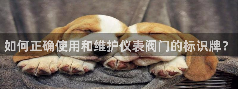 清远顺盈游戏娱乐