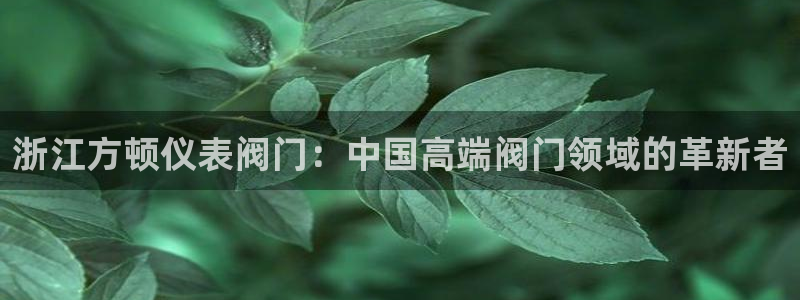 清远顺盈娱乐公司地址