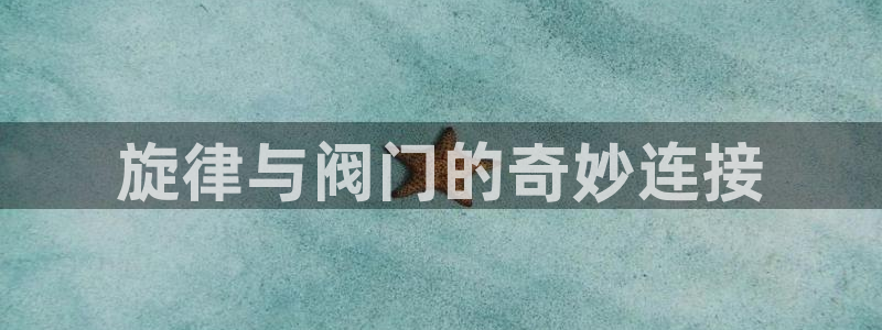 顺盈娱乐 找86555