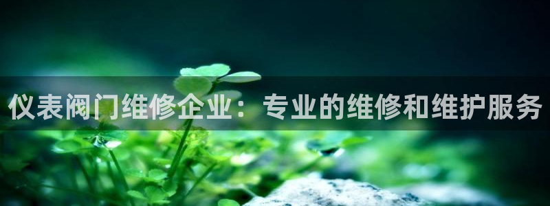 顺盈娱乐猪