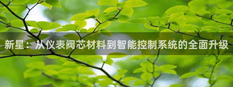 顺盈娱乐最高代理是谁
