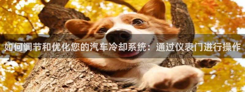 清远顺盈娱乐酒店推荐