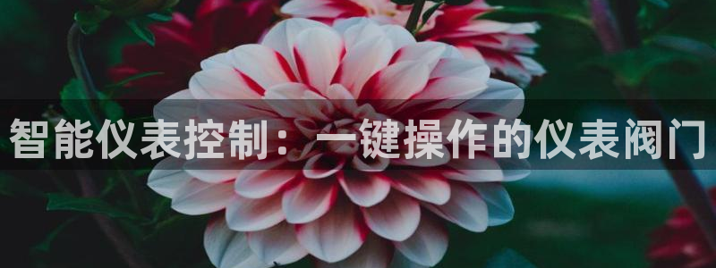 清远顺盈娱乐文案