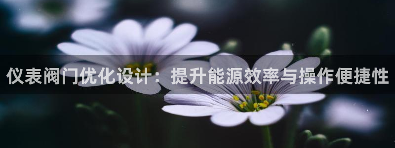 顺盈娱乐平台