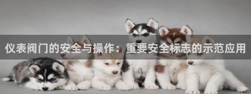盈顺休闲娱乐室