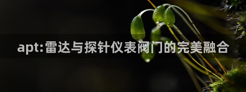 顺盈娱乐登录地址在哪