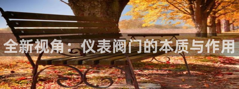 顺盈娱乐总代理是谁