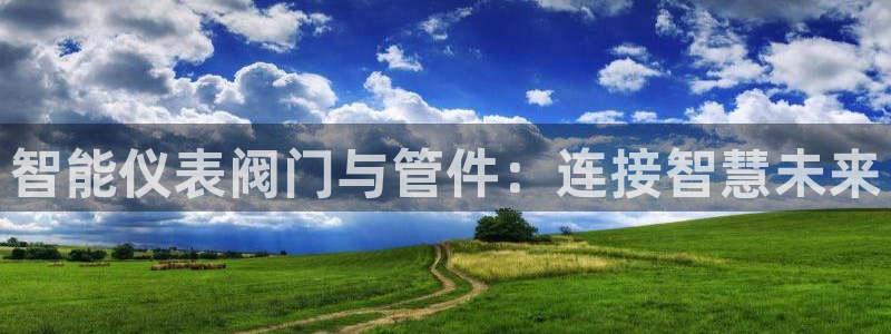 顺盈娱乐铜333OO