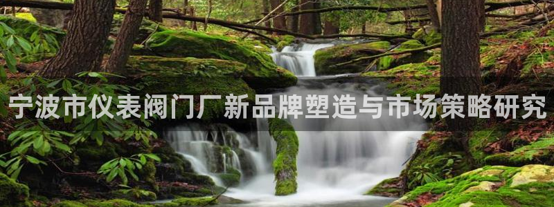 顺盈娱乐形究7276O