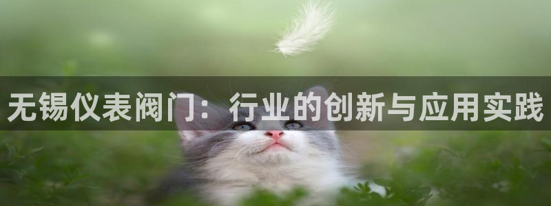 清远顺盈娱乐公司推荐