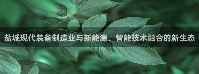 顺盈娱乐代理怎么样了啊