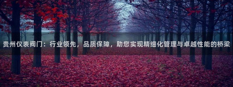 顺盈娱乐主管=天神779O3