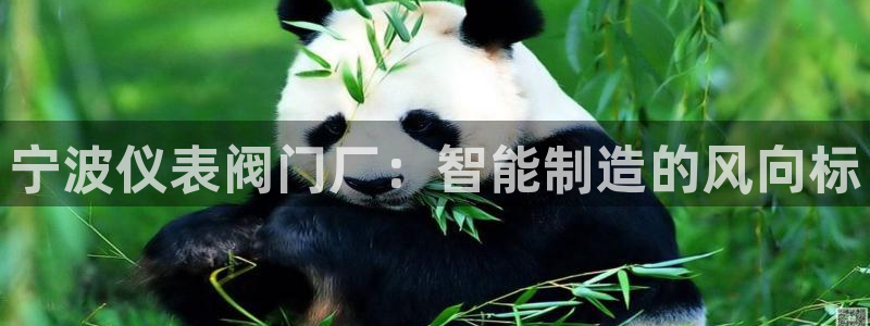 顺盈娱乐登录地址在哪看