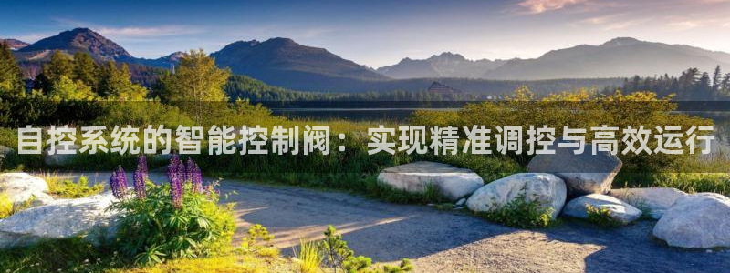 顺盈娱乐注册平台官网