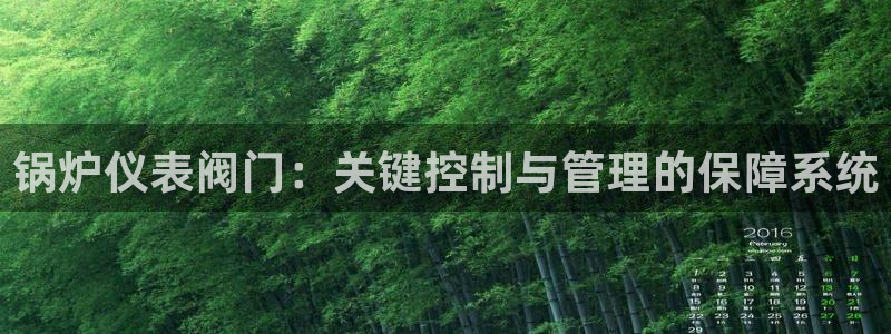 顺盈娱乐官网