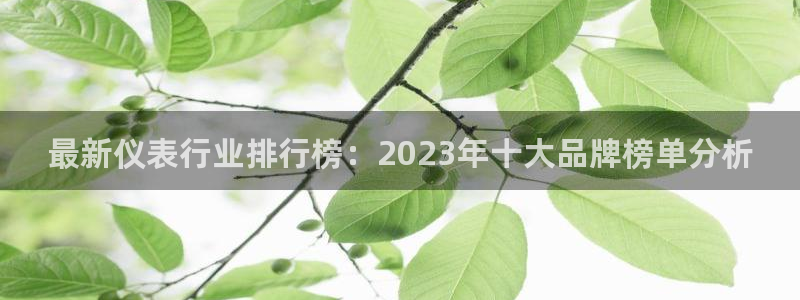 顺盈娱乐招商后原判官333OO