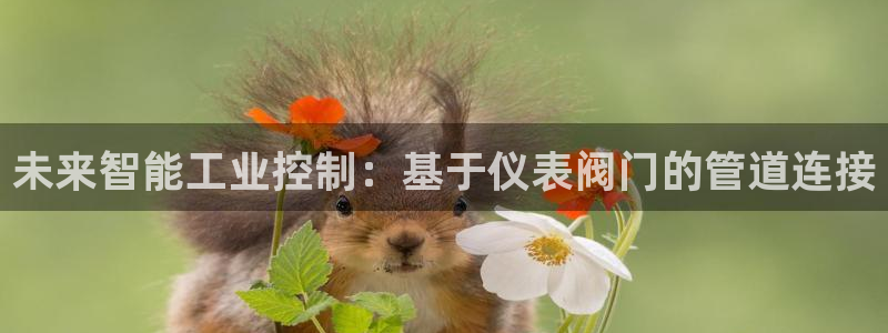 顺盈有什么娱乐场所