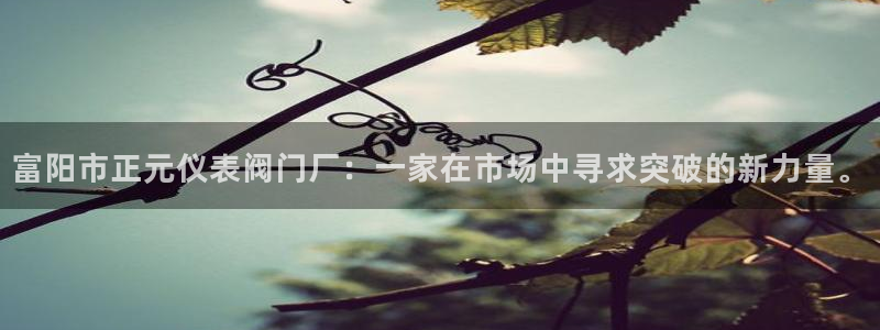 优盈娱乐顺122222