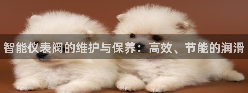 顺盈娱乐平台登录不了