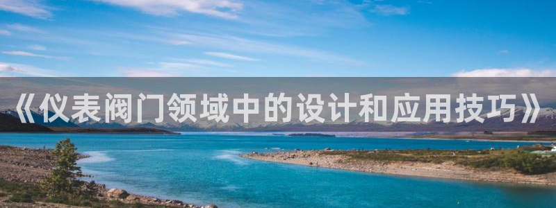顺盈娱乐28是什么意思