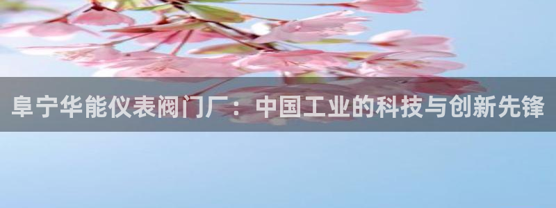 顺盈娱乐最高代理是谁啊