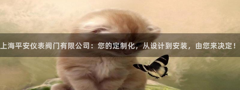 顺盈2娱乐彩票