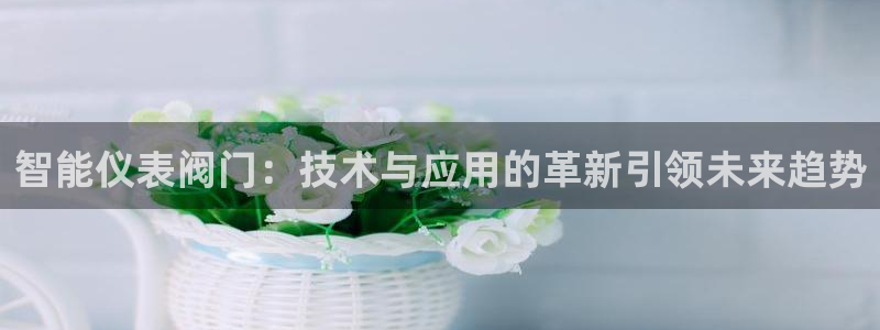 顺盈娱乐找382223