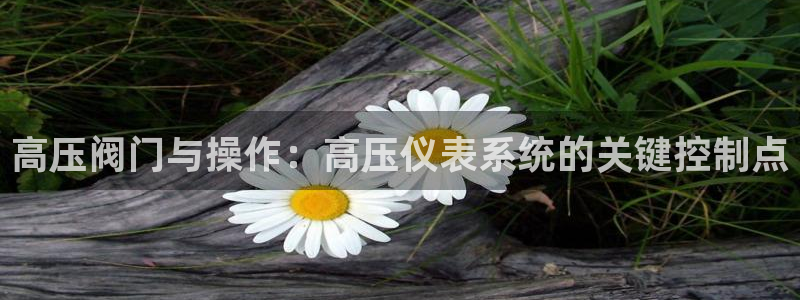 顺盈娱乐在线开户流程