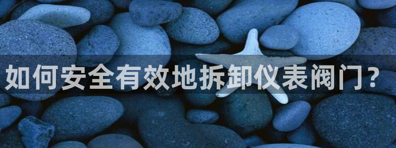 乐摇摇娱乐团购顺盈