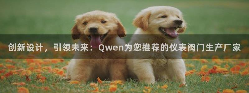 顺盈娱乐代理怎么样做