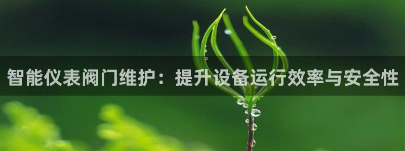 顺盈娱乐402201