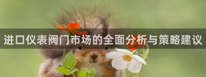 顺盈娱乐彩票