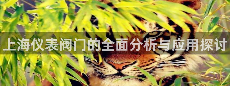 顺盈2娱乐滴qv382223