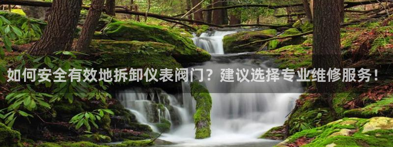 顺盈娱乐下载安装官方