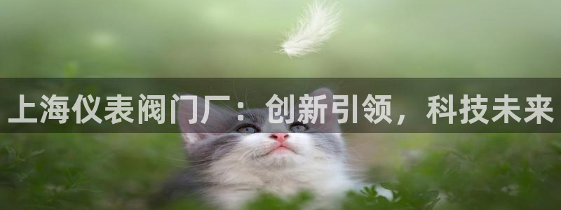 清远顺盈游戏娱乐