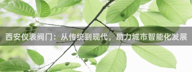 顺盈广场娱乐会所地址