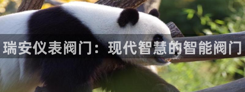 顺盈娱乐各究7276O