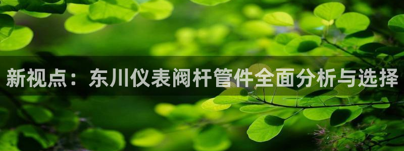 顺盈娱乐最高代理人名单