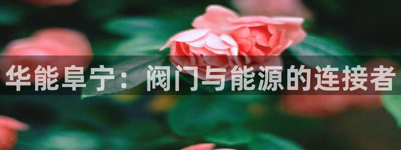 盈顺娱乐休闲室地址