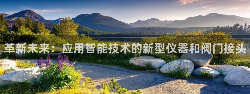 顺盈娱乐下载最新版