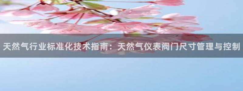 娱乐顺盈国际