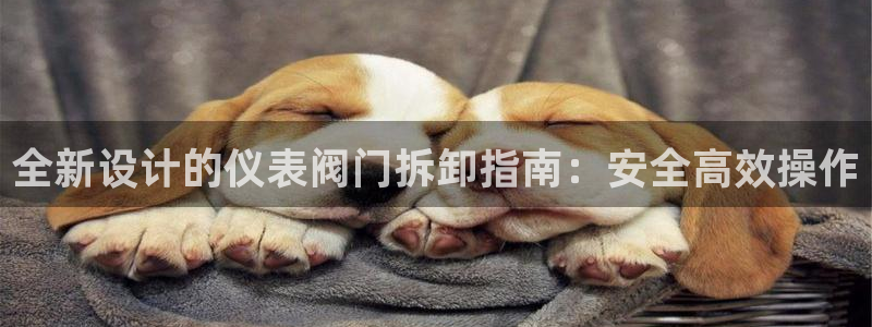 顺盈娱乐平台最新活动
