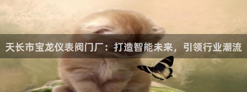 顺盈娱乐官网下载