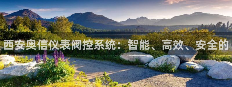 顺盈娱乐在线教育